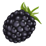Brombeeren