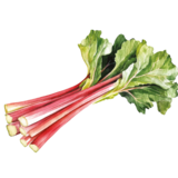 Rhabarber