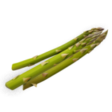 Spargel
